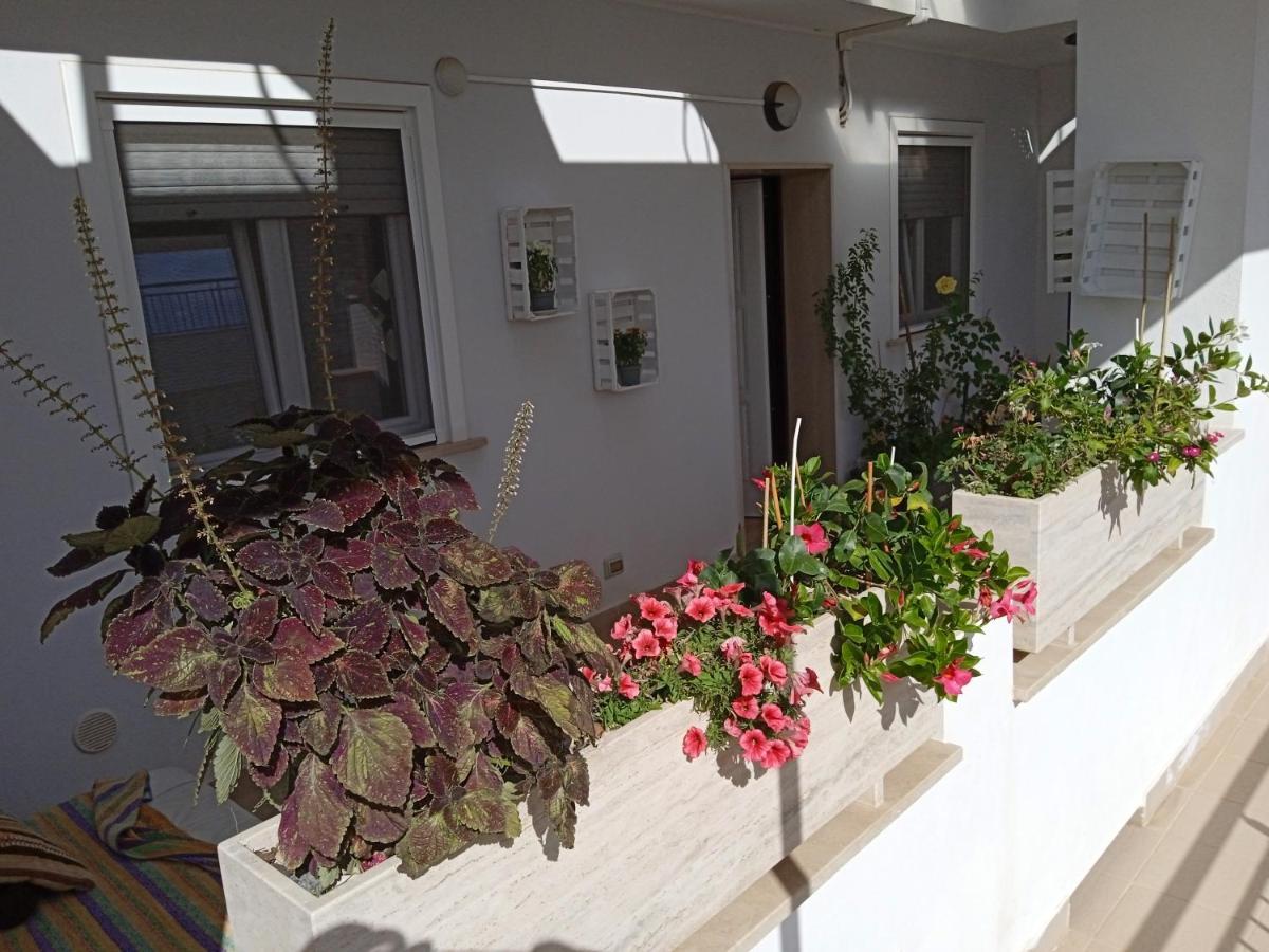 La Casa Di Elena Sannicandro di Bari Exterior foto