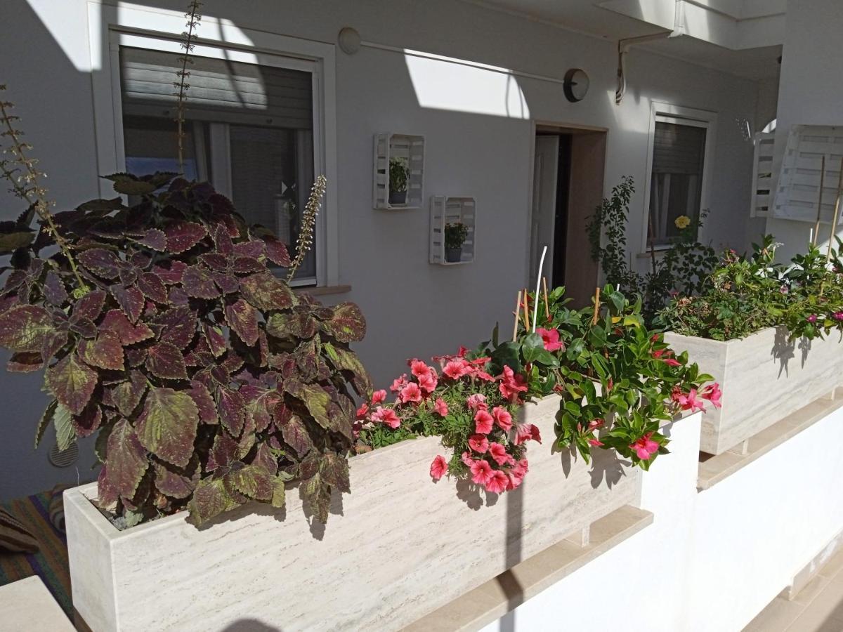 La Casa Di Elena Sannicandro di Bari Exterior foto